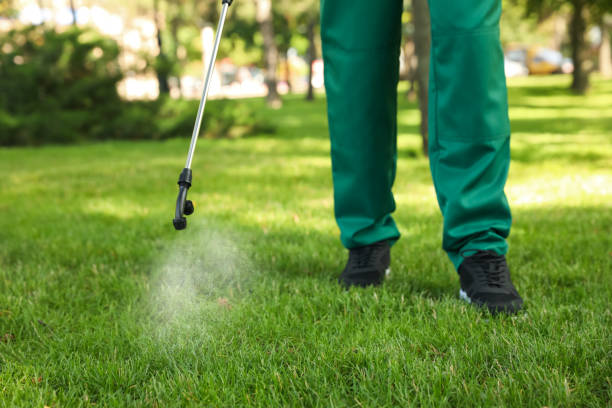 Best Local Pest Control Services  in Bellevle, IL
