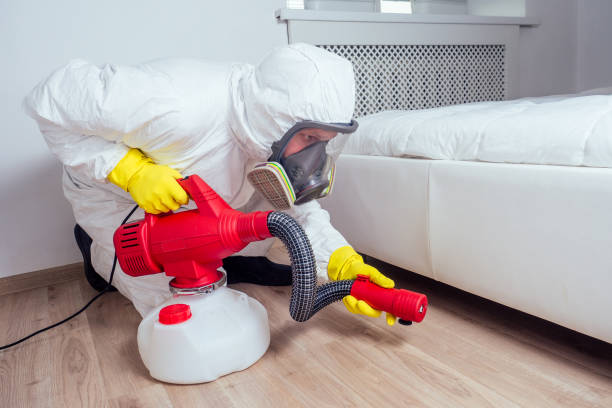 Wasp Removal Services in Belleville, IL