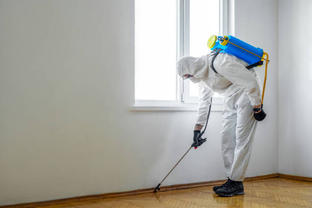 Best Commercial Pest Control Services  in Bellevle, IL
