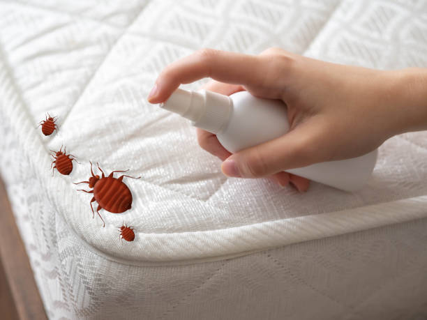  Bellevle, IL Pest Control Pros