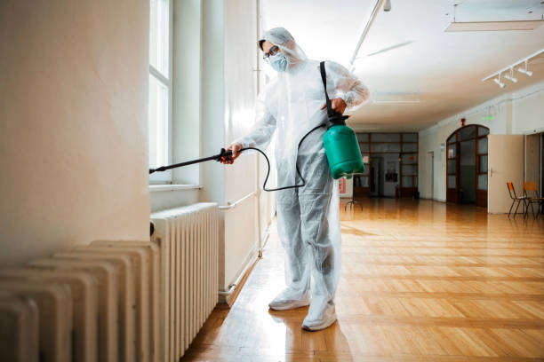 Best Wasp Removal Services  in Bellevle, IL