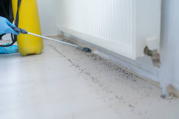 Best Pest Inspection Near Me  in Bellevle, IL