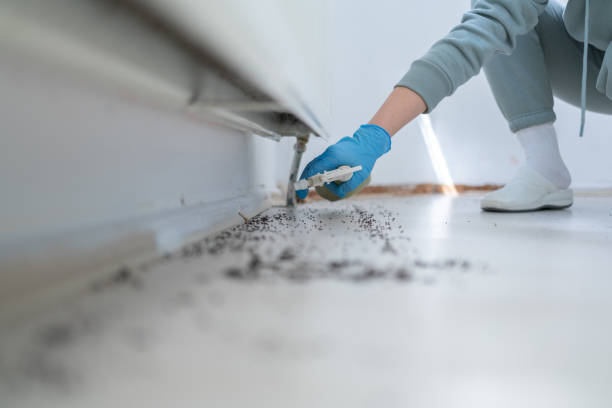Best Pest Inspection Near Me  in Bellevle, IL